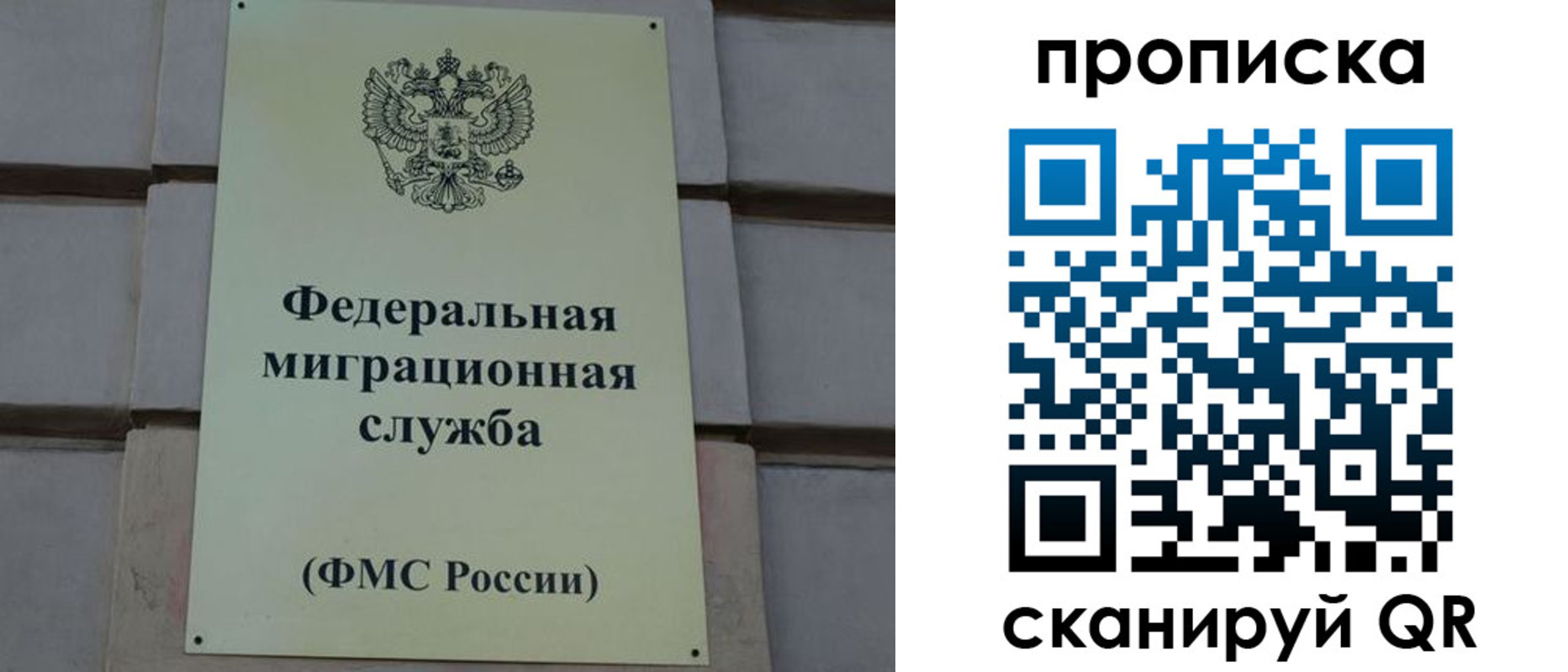 прописка поиск в Чувашии
